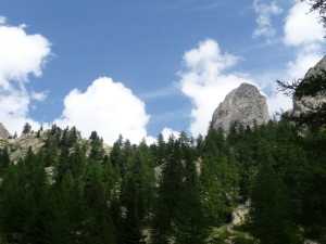 P1070702 
